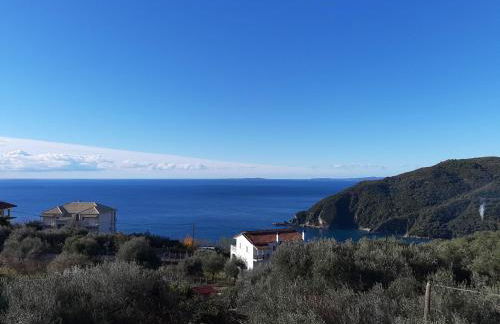 Olive Tree Apartments - Foto 122