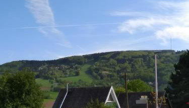 Ferienhaus in der Rhön Sitzmann - Foto 5, Garden