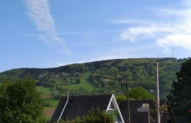 Ferienhaus in der Rhön Sitzmann - Foto 18