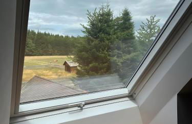 Das Falken Nest - Foto 42