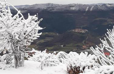 Apartment Finderli - Photo 41