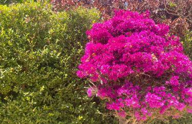 Villa Cana - Foto 46