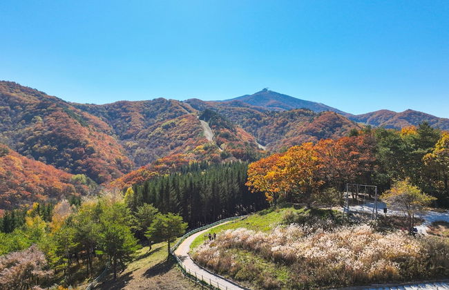 Mona Yongpyong Tower Condominium - Foto 56