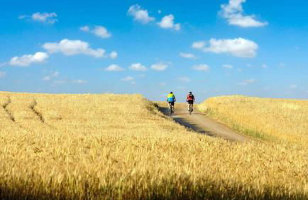 Villa Fiorenzani - Foto 78