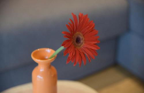 Appartments Hopfgartner Eurospar - Photo 2