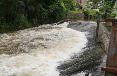 Ferienwohnung Eifelblick - Foto 79