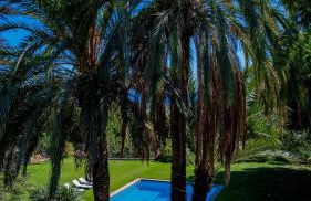 Castillo Meng - Foto 71