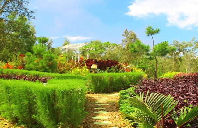 Bukit Lintang Sewu Domping - Foto 4