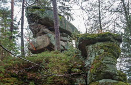 Apartment Apart Waldershof - Foto 42