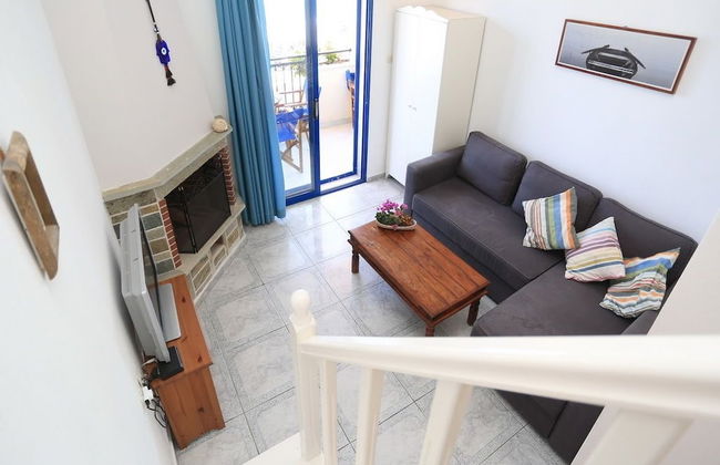 Nemo Studios - Foto 7