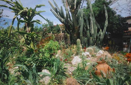 The Artist's Farm - Foto 62