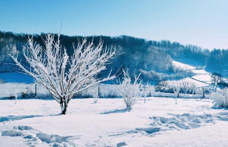 Private Villa with Pool and Jacuzzi Dreamy Hill - Foto 37