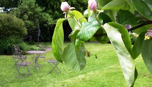 Druidenhain Hof Neudamm - Foto 3