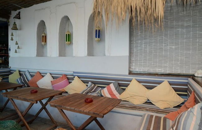 Nemo Studios - Foto 37