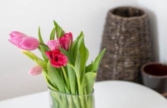 Bakers House - 4 Bedrooms - Parking for 3 cars - Dogs welcome - Foto 21