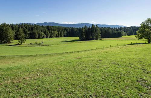 Alpiner Aufenthalt mit Balkon in Steingaden - Foto 22