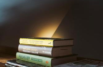 Flecksches Gut - Foto 18