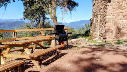 Mas Morrenyà - Casa rural - Foto 3, Garden