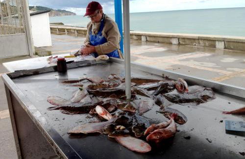 La Plage en Normandie - Foto 28