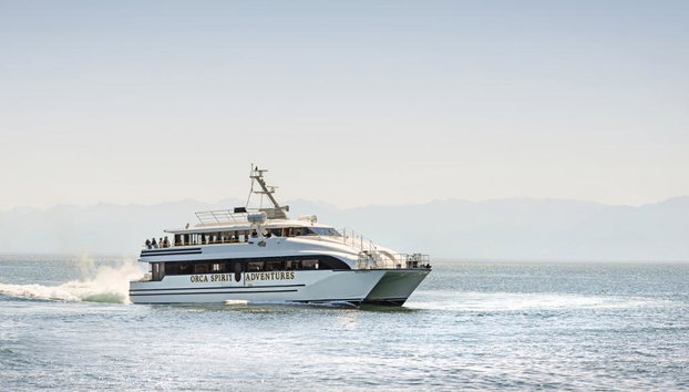 Orca Spirit Adventures Whale Watching Covered Vessel - Photo 5