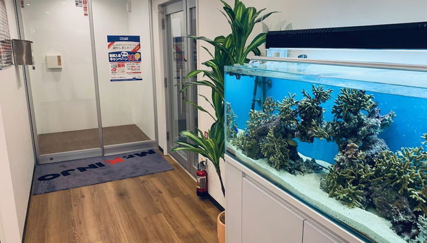 Mr.KINJO in Rinzu SERAGAKI - Foto 2, Entrada interior