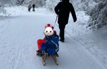 Holle - Land Holidays, parterre Ferienwohnung - Foto 29