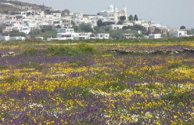Tour a la isla de Tinos desde Mykonos - Foto 3