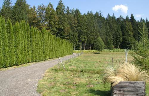 Family Escape with Garden - Foto 28