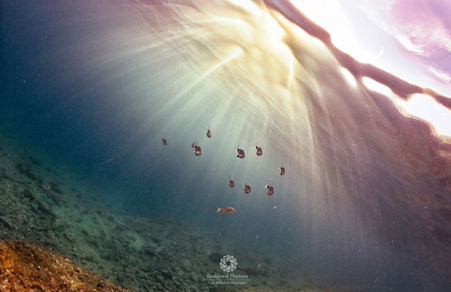 Apartments Mira - Foto 24