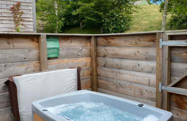 Badger Lodge with Hot Tub - Foto 1
