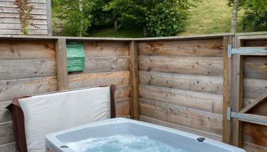 Badger Lodge with Hot Tub - Foto 1