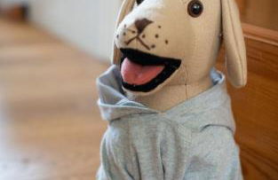 Magnolia Cottage - Foto 12