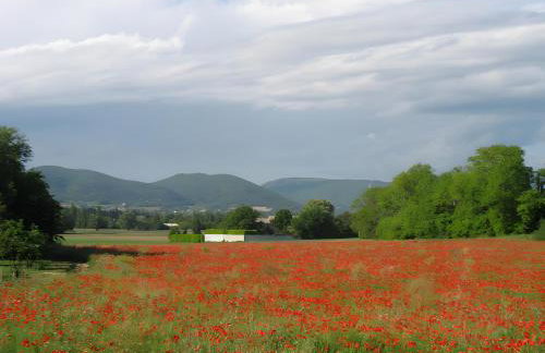 Appartement 1 - Foto 12