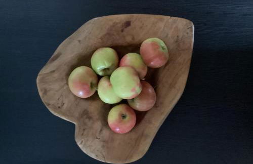 Apartement für Naturliebhaber - Foto 15