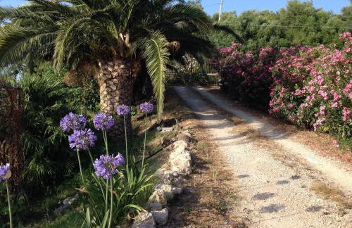 Giardino di Sicilia - Foto 128