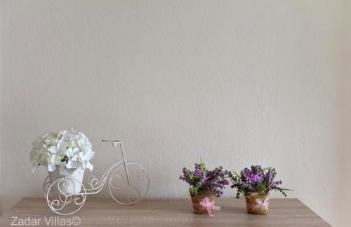 Villa Andu Zadarvillas - Foto 97