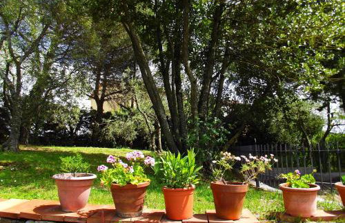 Casa Lilio - Foto 36