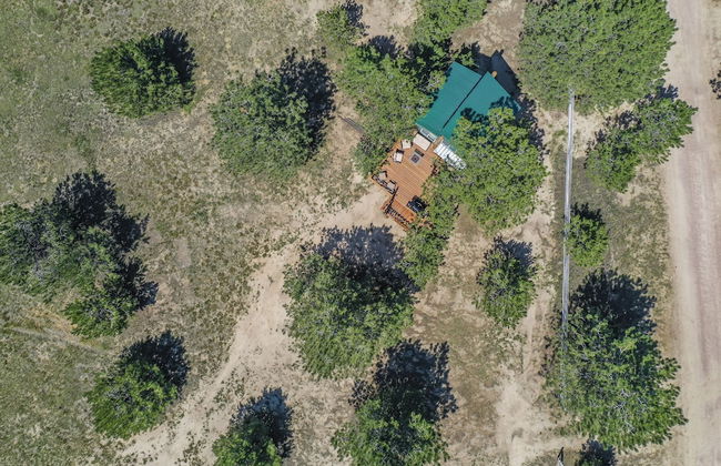 Tree Eagles Nest - Foto 32