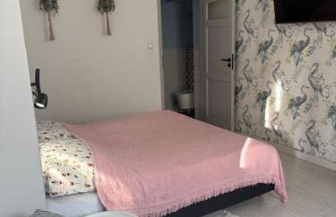 Apartament Pokoje Domki U Franka - Photo 34