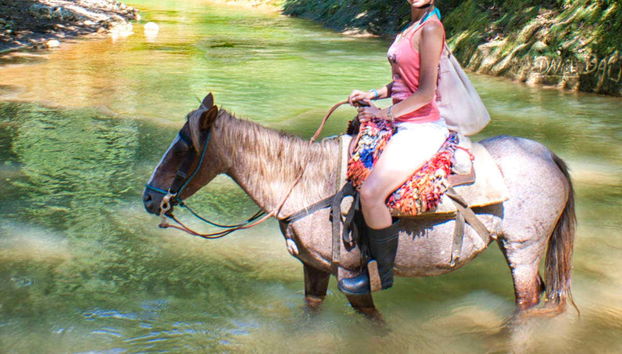 Passeggiata a cavallo alla cascata El Limón
