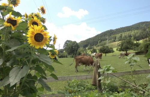 Urlaub auf dem Hänslehof - Foto 2