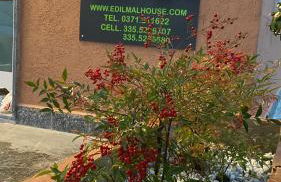 Jacky House 1.0 - Foto 28