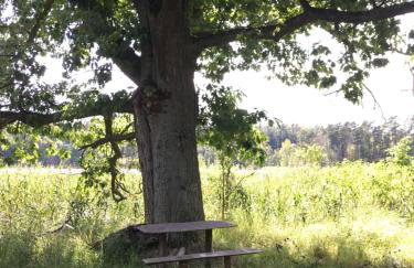 Zacisze Siemiany - Foto 26