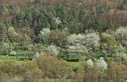 Ferienwohnung Monika - Foto 25