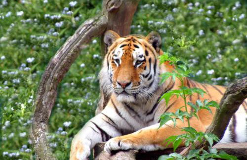 Tierpark Entdeckerhäuser - Foto 46