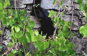 Wohnen direkt am Moselstrand - Foto 27