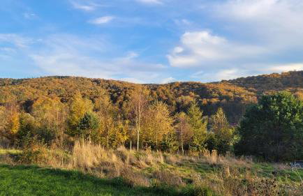 Cichosan domek w dolinie Sanu - Foto 39