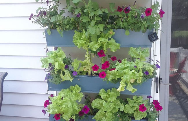 La Petite Maison Chaleureuse - bed and Breakfast 1 for Rent - Photo 7