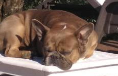 I Giardini Di Margius - Foto 7