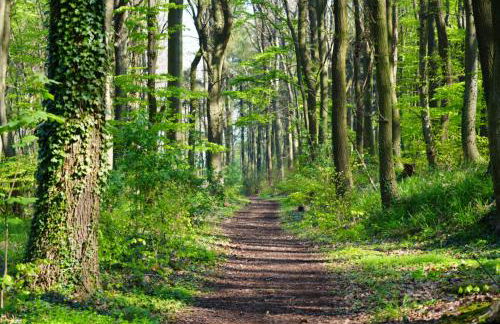 Nordloft Bad Nenndorf - Photo 25